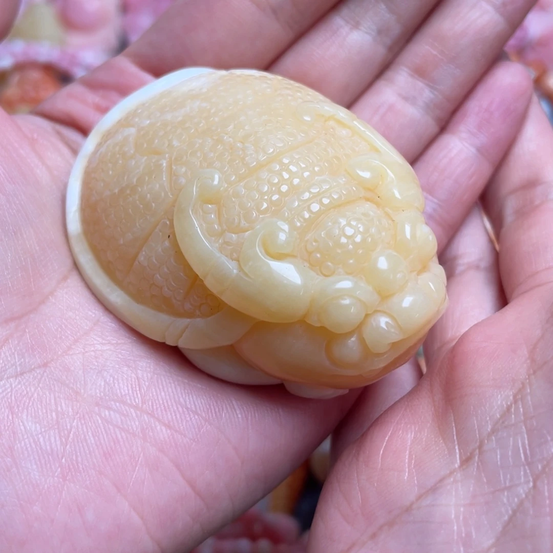 用***1珐琅非金属金色龙龟手把件