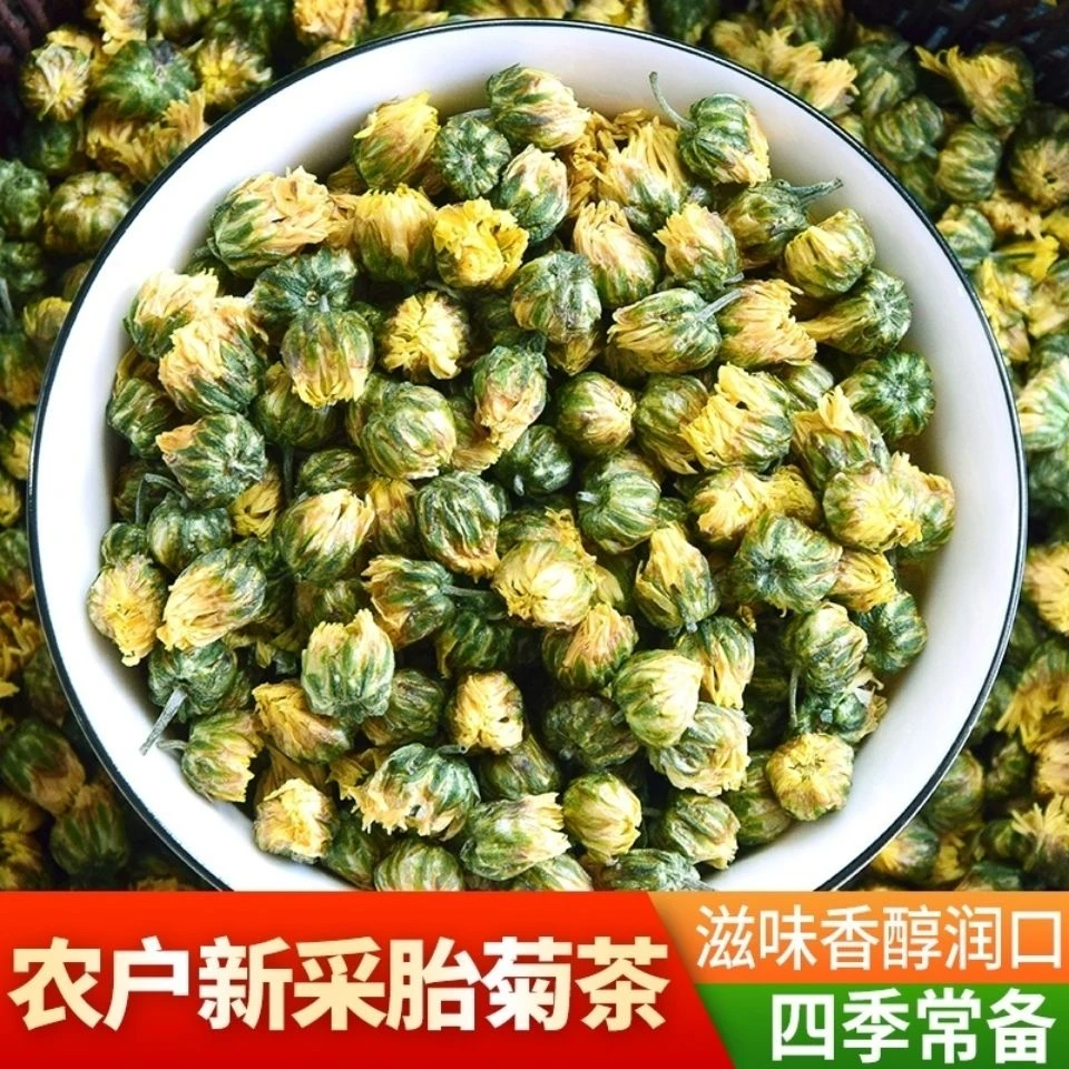 新鲜无硫胎菊王 精选正宗杭白菊桐乡菊花散装饱满清香胎菊菊花茶