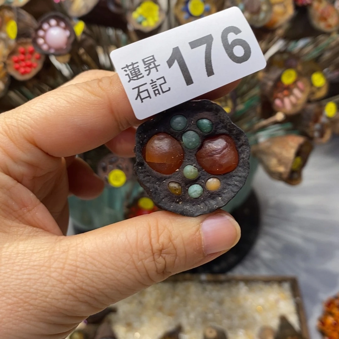 核桃木/黑胡桃（胡桃木）安****子176