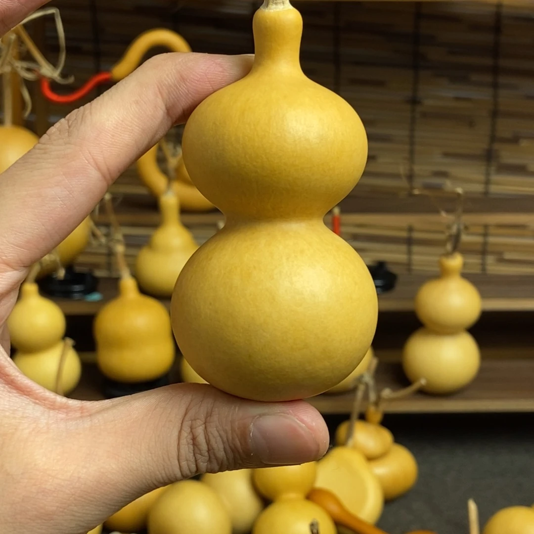 飞***。goigxxogxgooxgxoxg