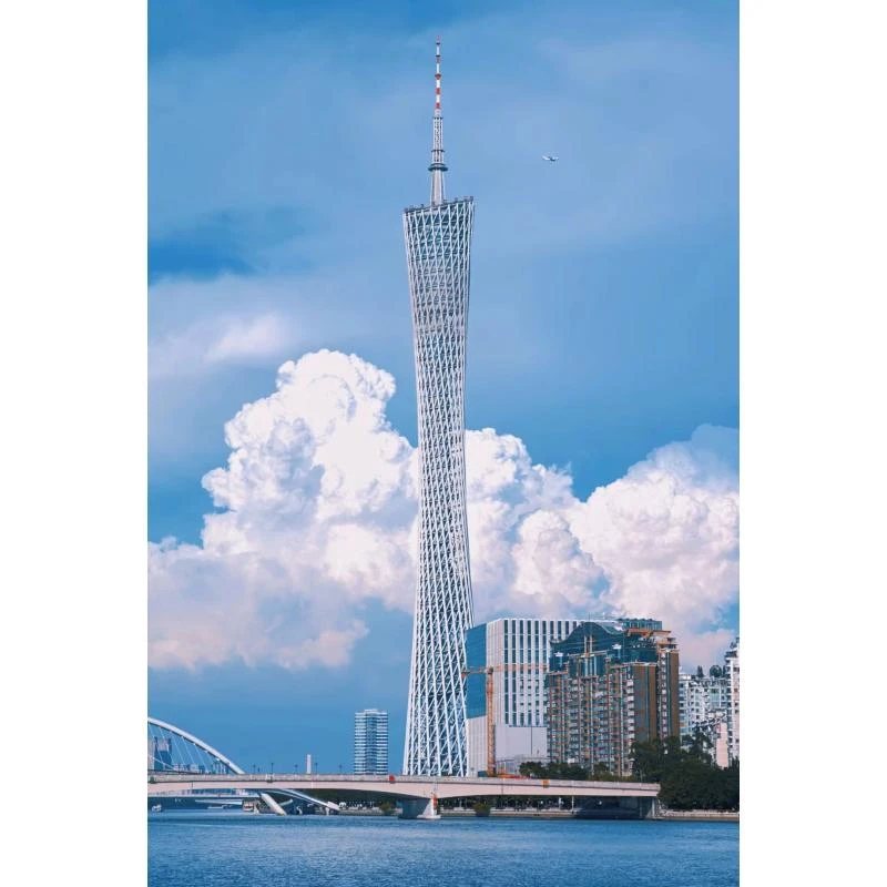 时尚潮流打造真皮女士包30潮流10228-3黑色大lj袋