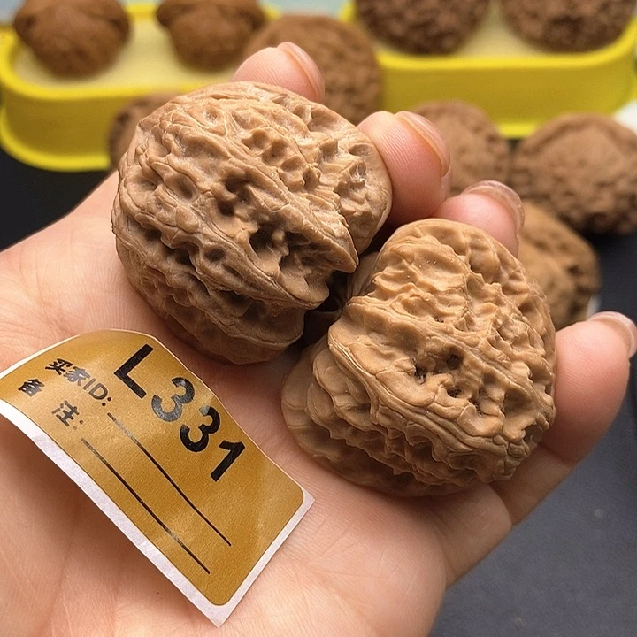 文玩核桃把件白狮4.0全品