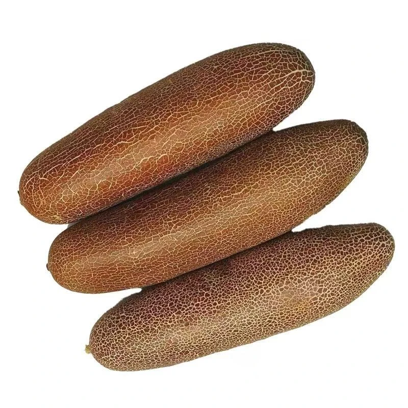 东北现摘老黄瓜新鲜黄瓜麻皮老黄瓜 酸黄瓜农家青菜