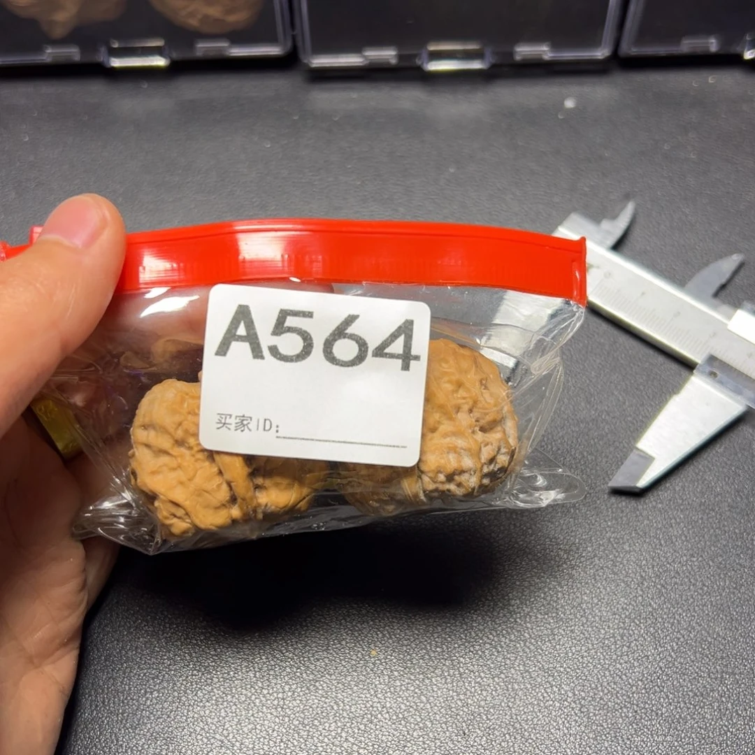 把件核桃哈哈哈哈