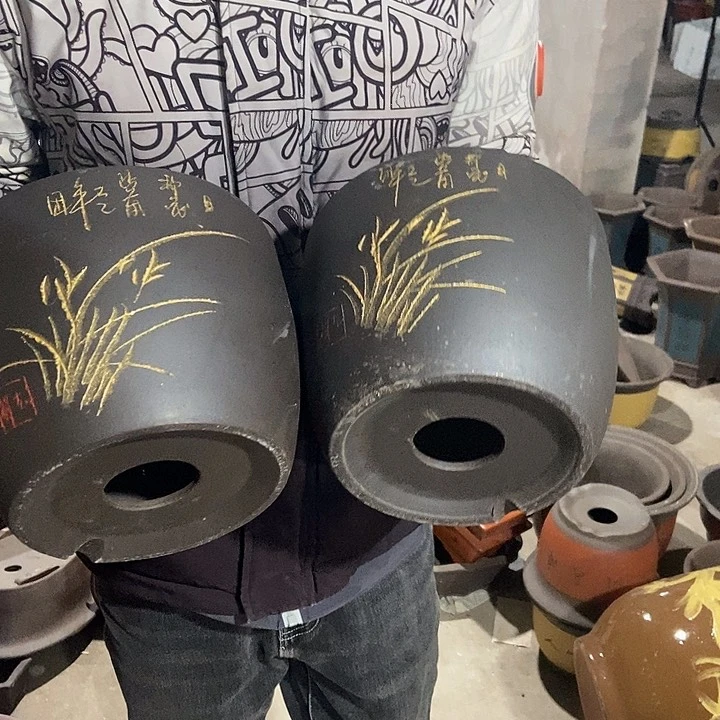 20 花盆花盆花盆花盆后花盆