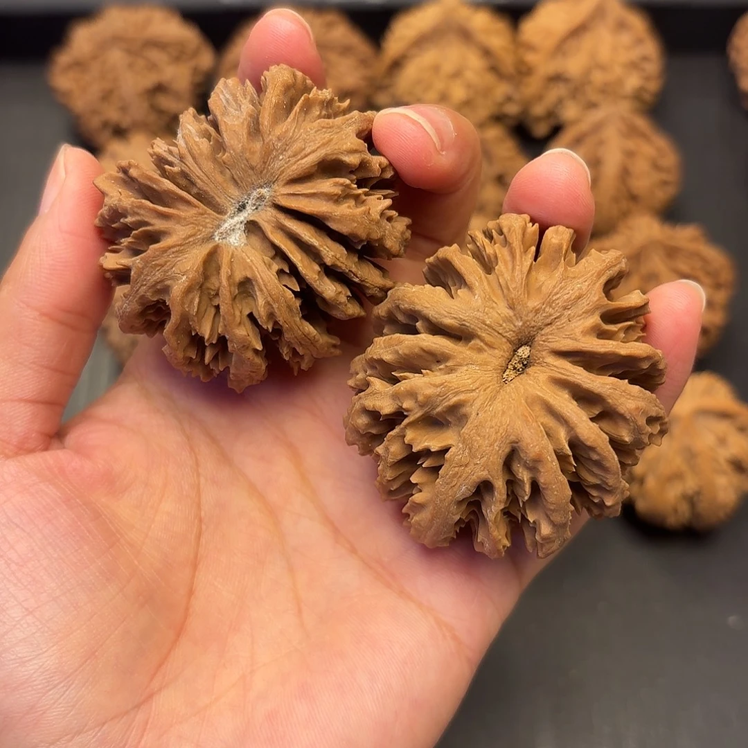 金***醉核桃突突突突突突突突突突突