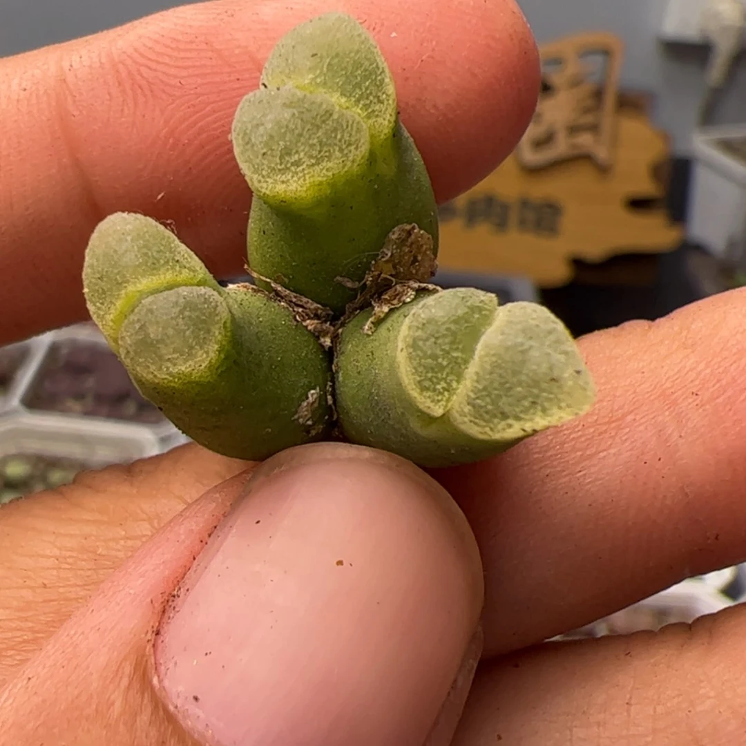 【闪购商品】00000023