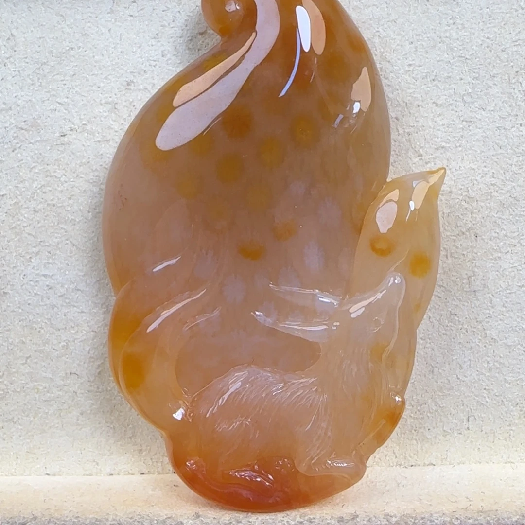 硅化珊瑚（珊瑚玉）未镶嵌颈饰