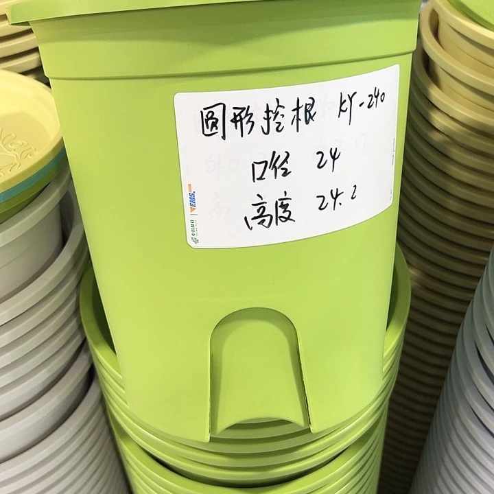 正品圆控口24高24果绿无托8只