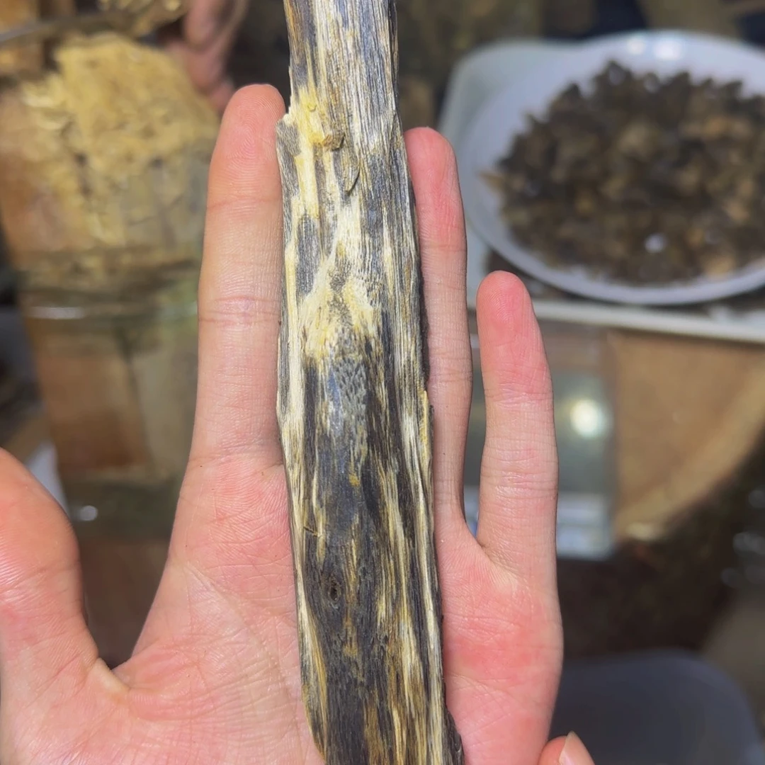 流***香沉香香霸虫漏手把发一份