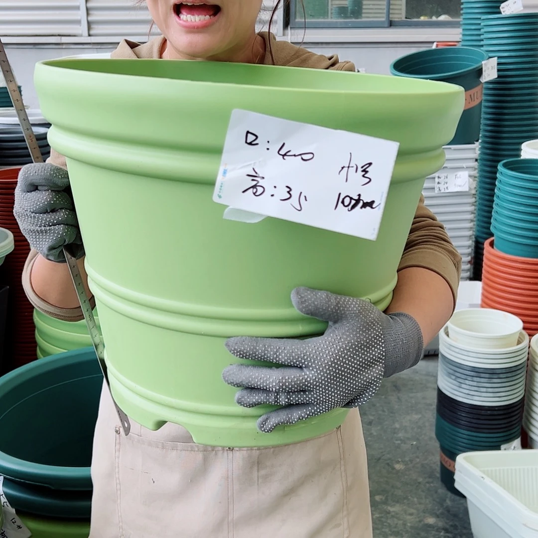 瑕疵仿陶罗马小号果绿色3个无托