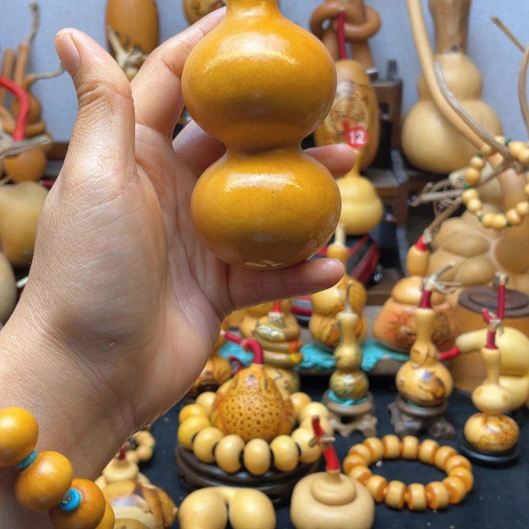 o***?大自然的秘密第十一节的故事