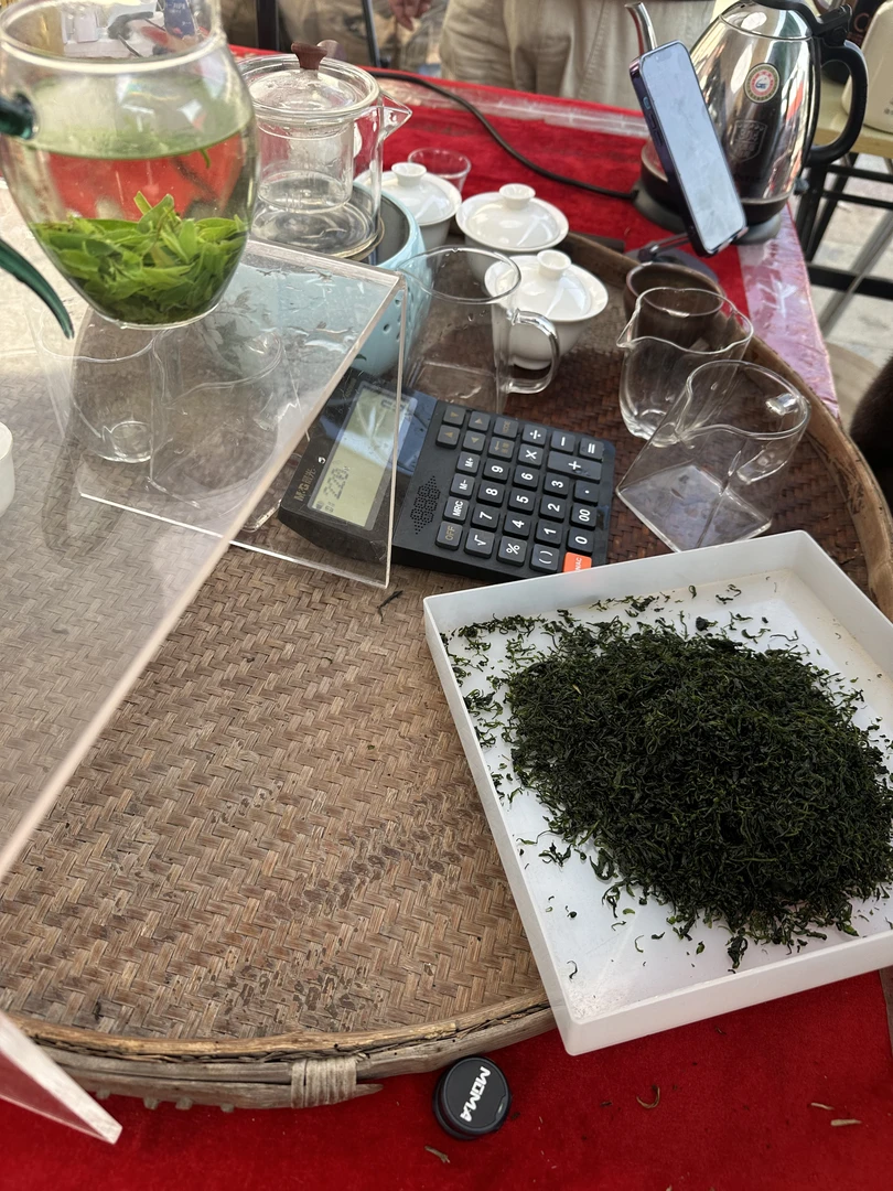 【郑董源头收好茶】贵州遵义明前嫩芽头采小叶苦丁经久耐泡回味甘甜