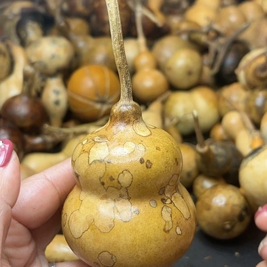 ꧁**꧂葫芦葫芦葫芦葫芦