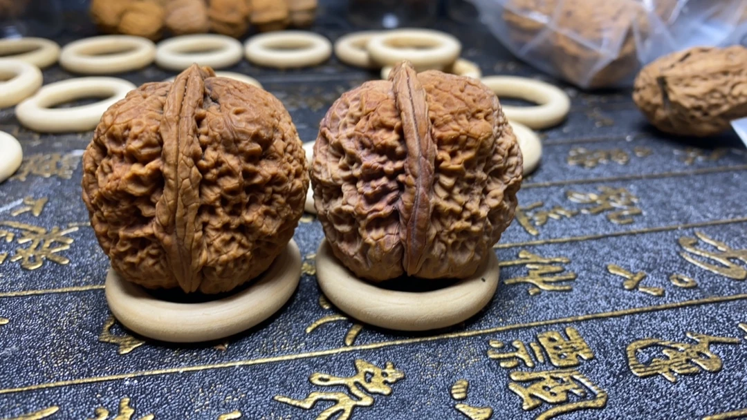 云南铁核桃粗筋蚂蚁纹