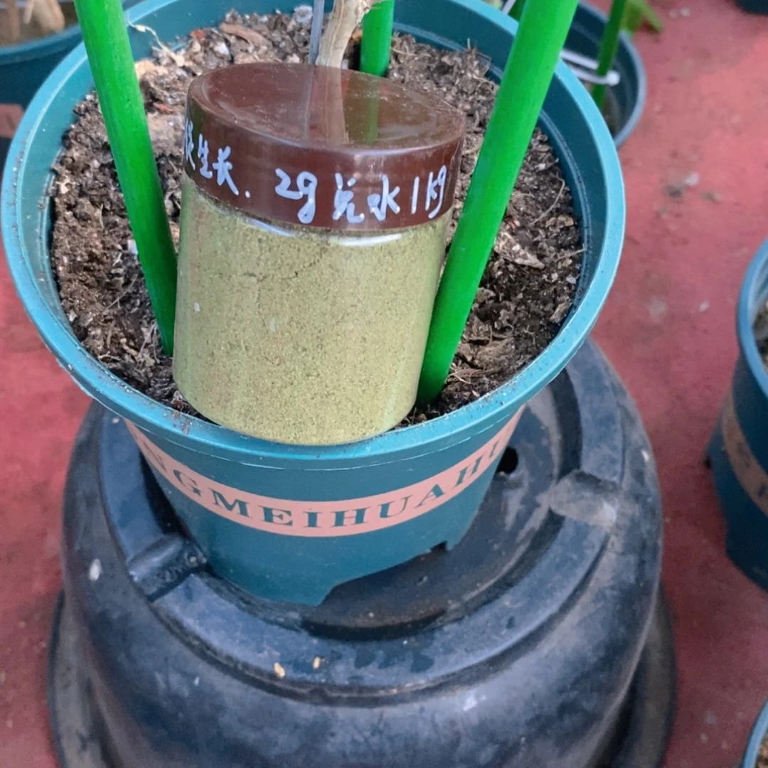 无花朵生长催花肥料各一瓶