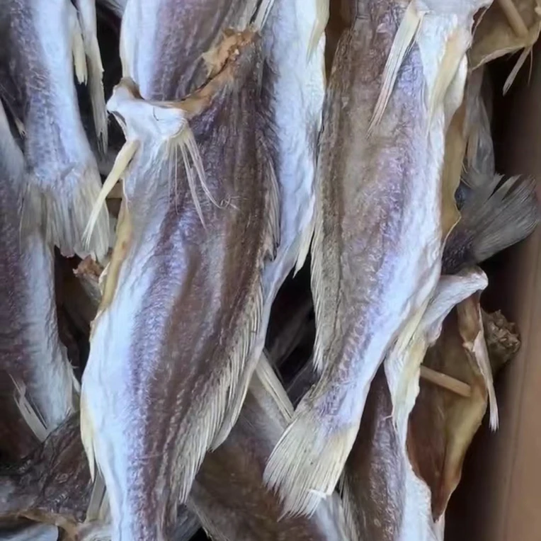 香港三牙鱼  500g   包邮