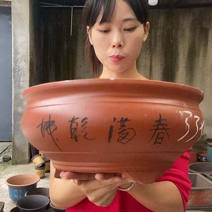 紫砂花盆33花盆花盆花盆花盆花盆花盆花盆花盆