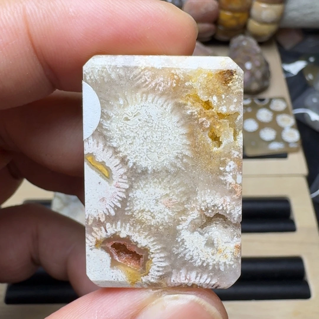 硅化珊瑚（珊瑚玉）未镶嵌纯天然色有机玉石保真色