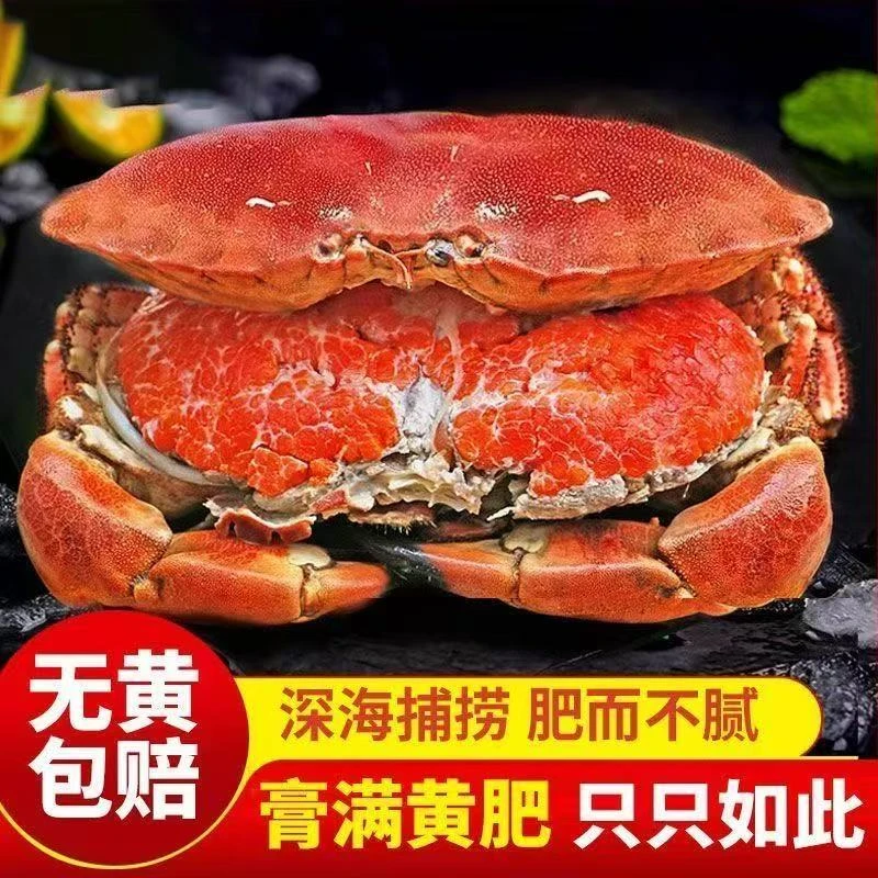 【深海大号面包蟹】熟冻发货带黄带膏面包蟹开袋加热即吃顺丰冷链