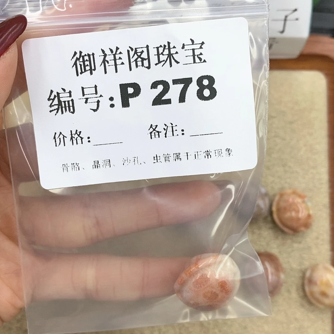硅化珊瑚（珊瑚玉）P未镶嵌R****～