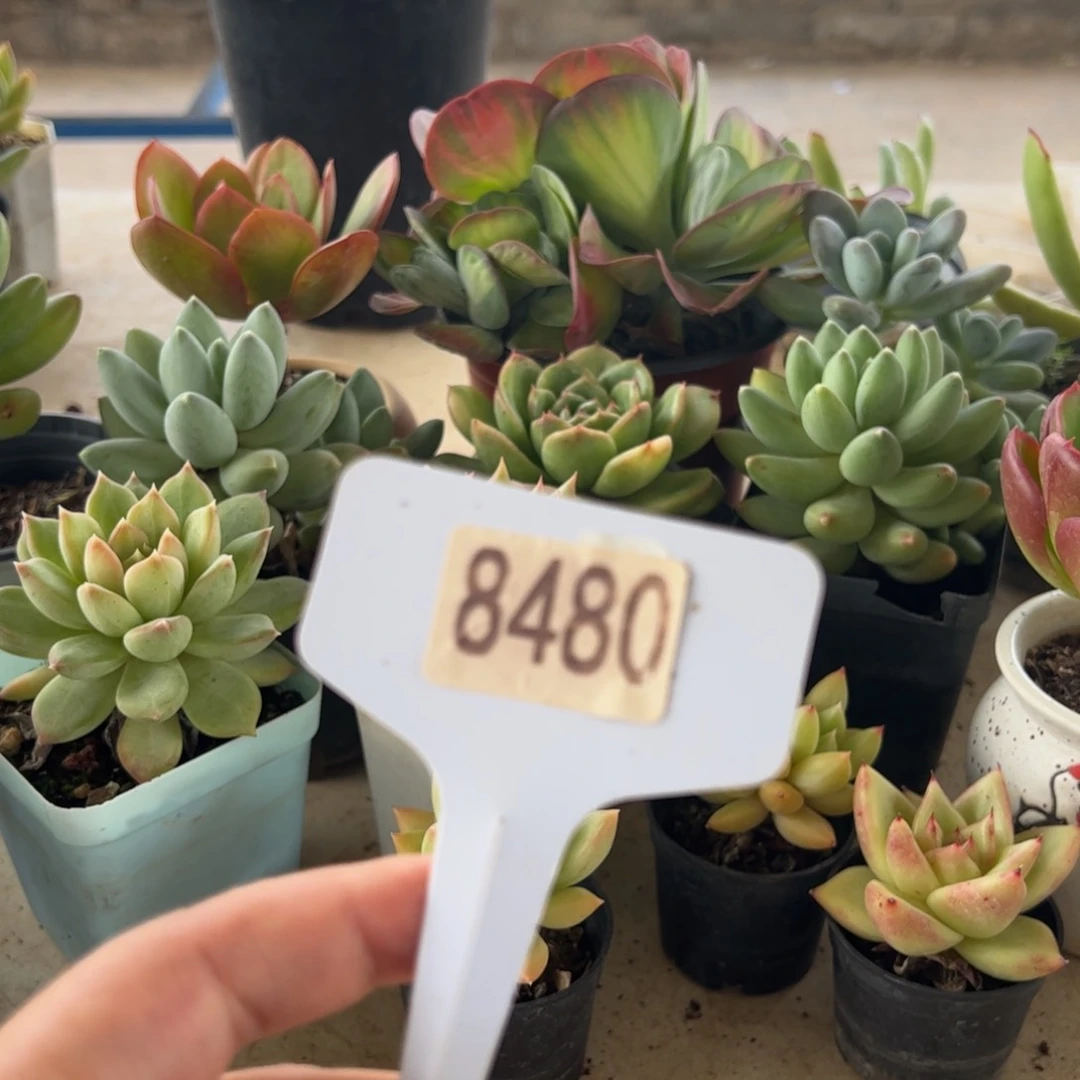 【闪购商品】又****天8480。  11111111