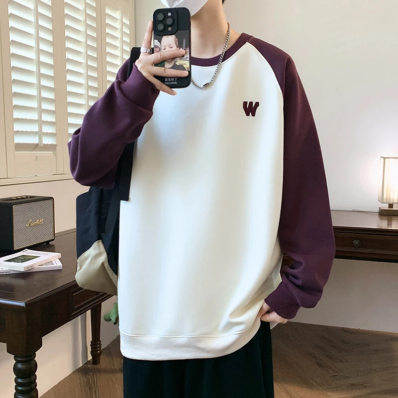 套头男孩青少年初中套头高中卫衣春秋季上衣服长袖学生帅气打底衫