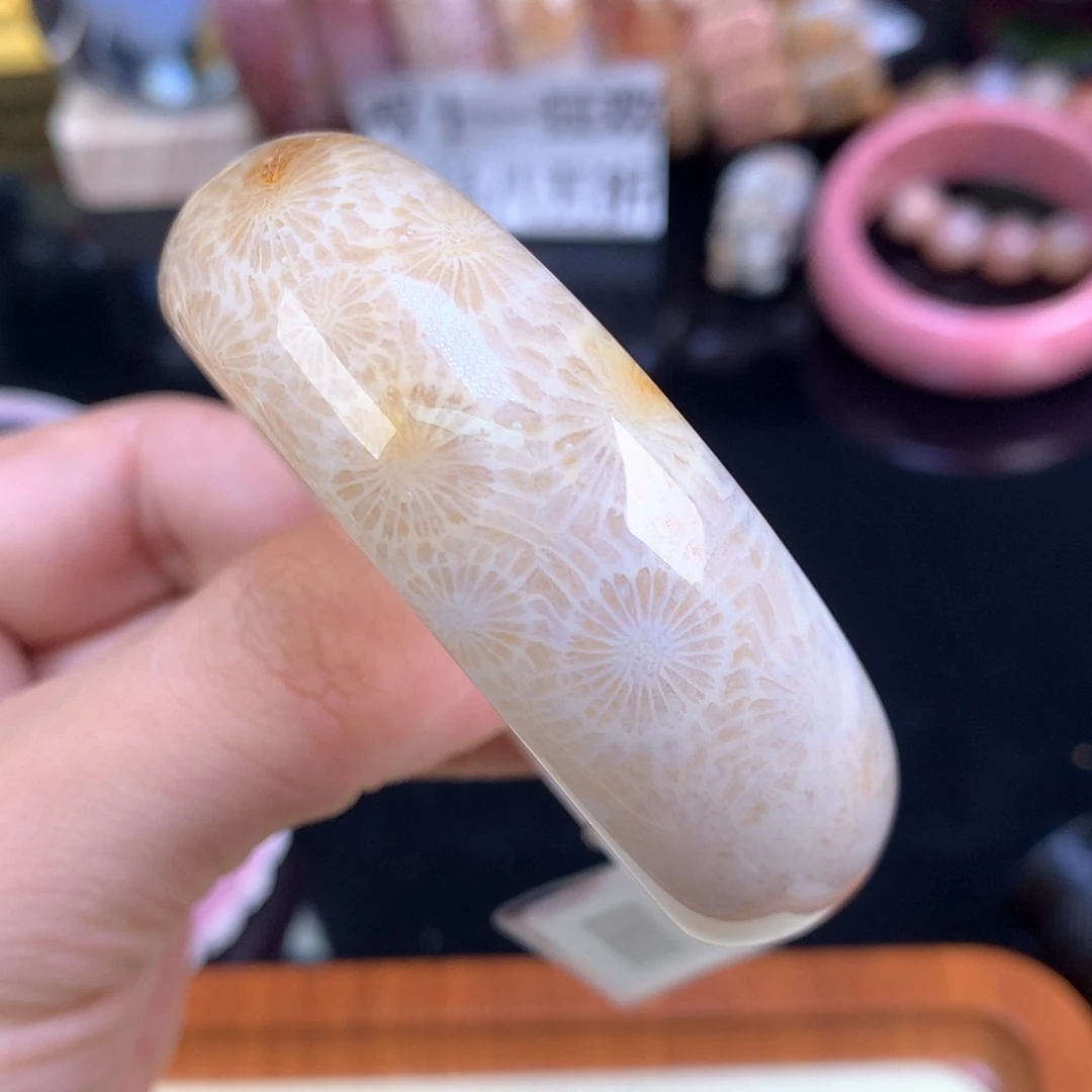 【闪购商品】颈饰未镶嵌硅化珊瑚（珊瑚玉）66号睫毛大花52.5圈好美