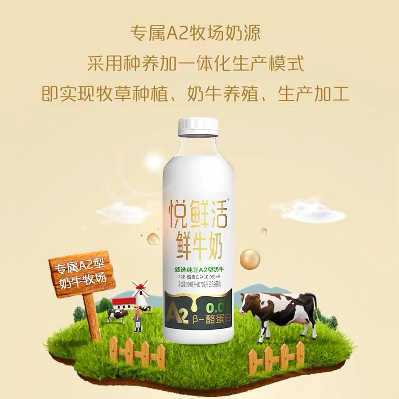 【短保19天】【26.7.6号到期】悦鲜活鲜A2牛奶950ml*2瓶大瓶低温奶