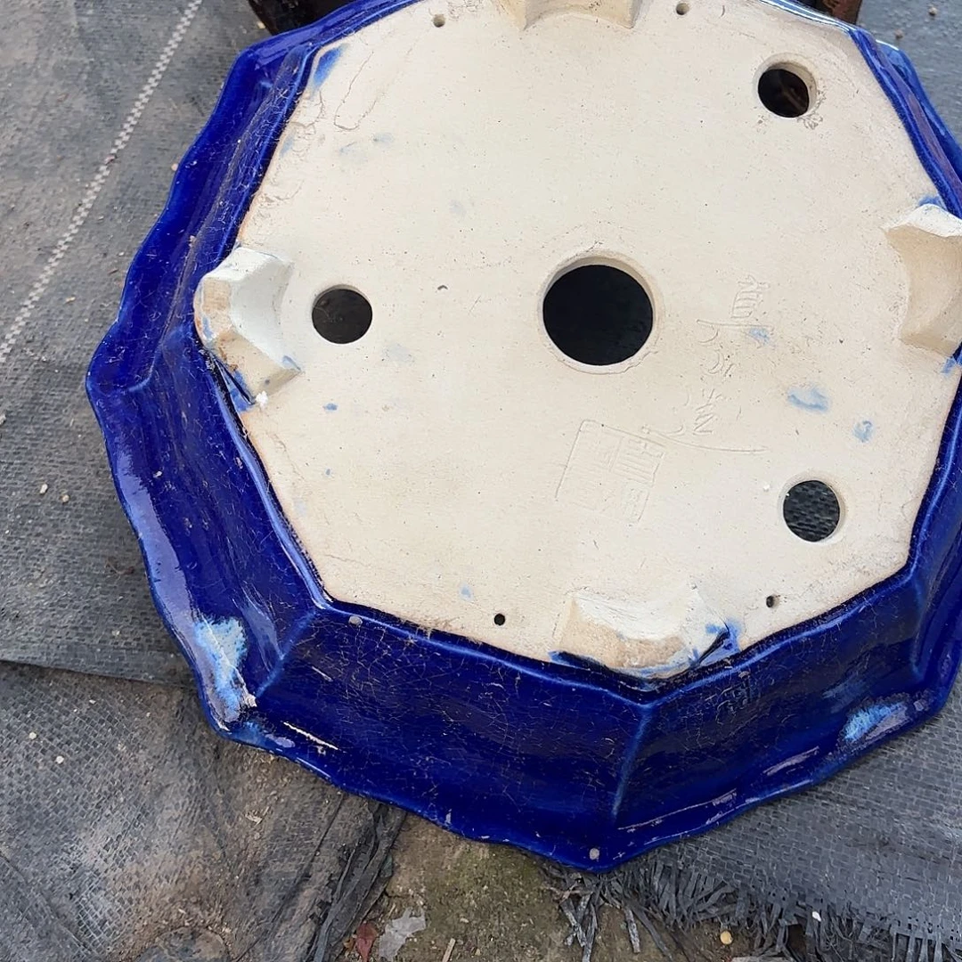 无花朵原盆进口真山蓝花盆