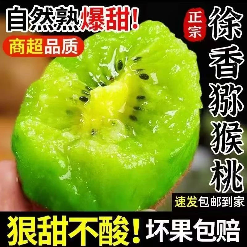 徐香绿心猕猴桃甜酸适中产地直发新鲜应季水果香甜多汁奇异果
