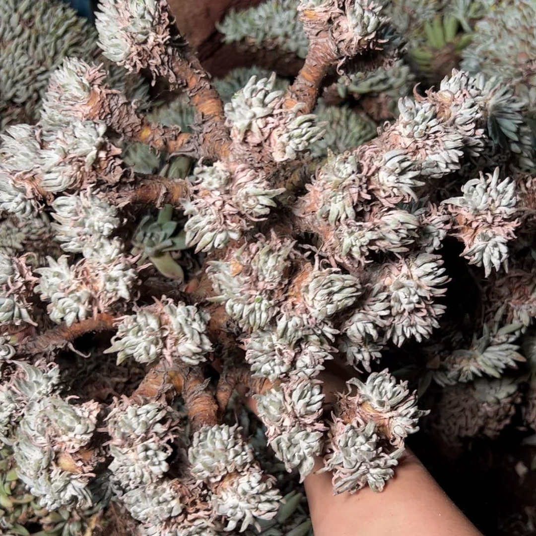 2877哈哈哈哈哈哈哈哈哈哈