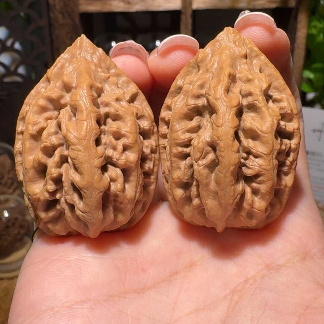 文玩核桃把件粗筋火焰龙