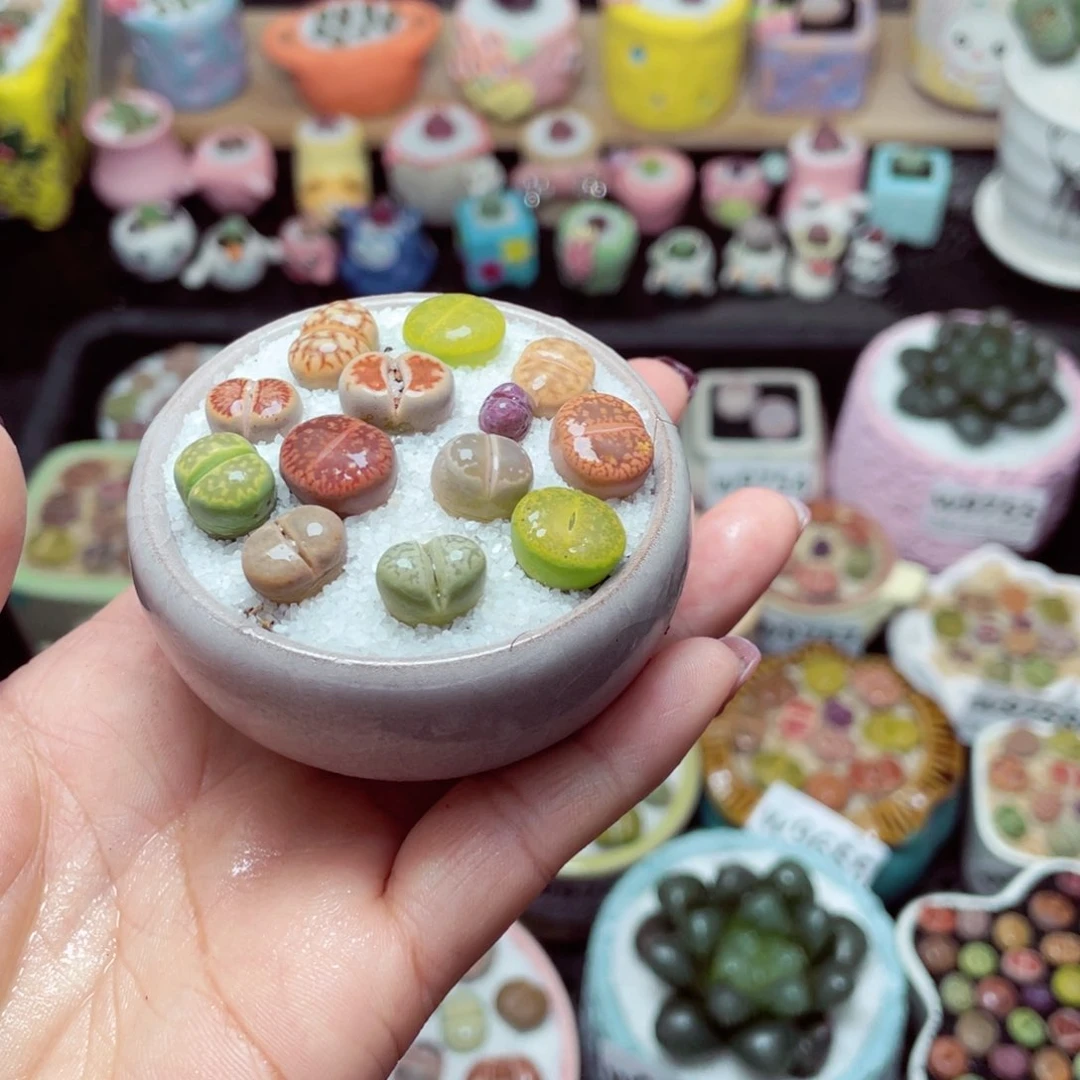 w9768 带盆土发货-零下地区拍保温箱