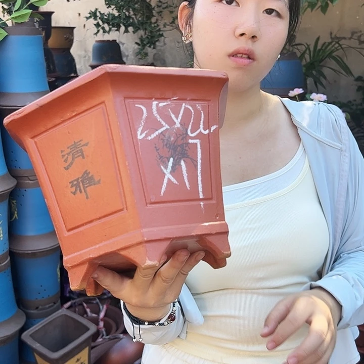 25红清雅六方花盆花盆花盆