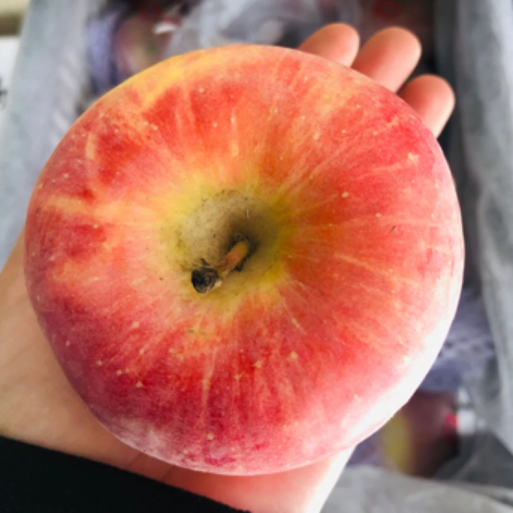 洛川富士苹果 一份（3斤左右）