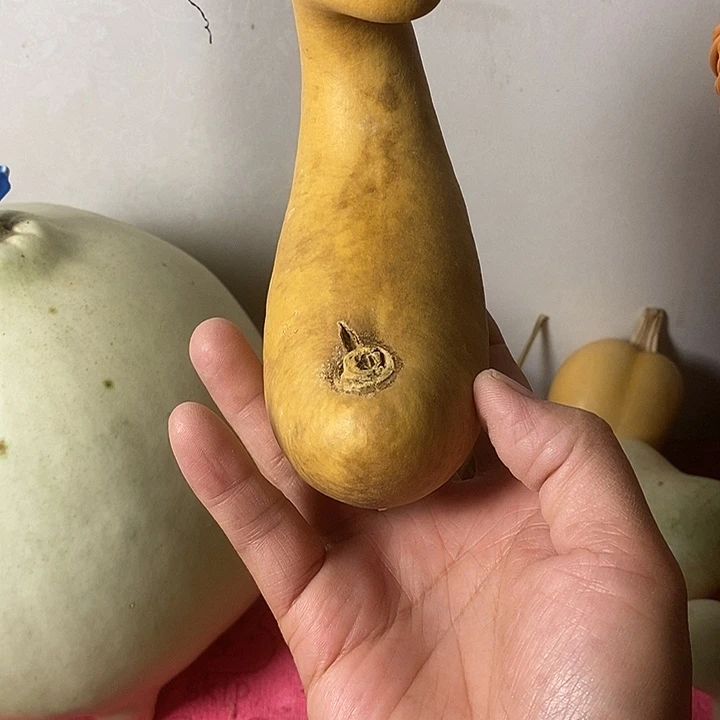 f***s青皮葫芦手把件葫芦