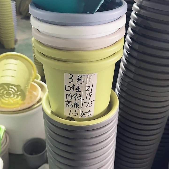 四季3#口径21无托果绿6个