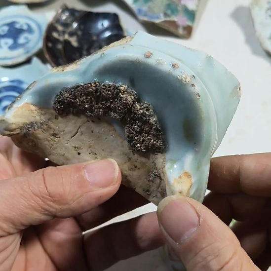 瓷片瓷片瓷片瓷片瓷片