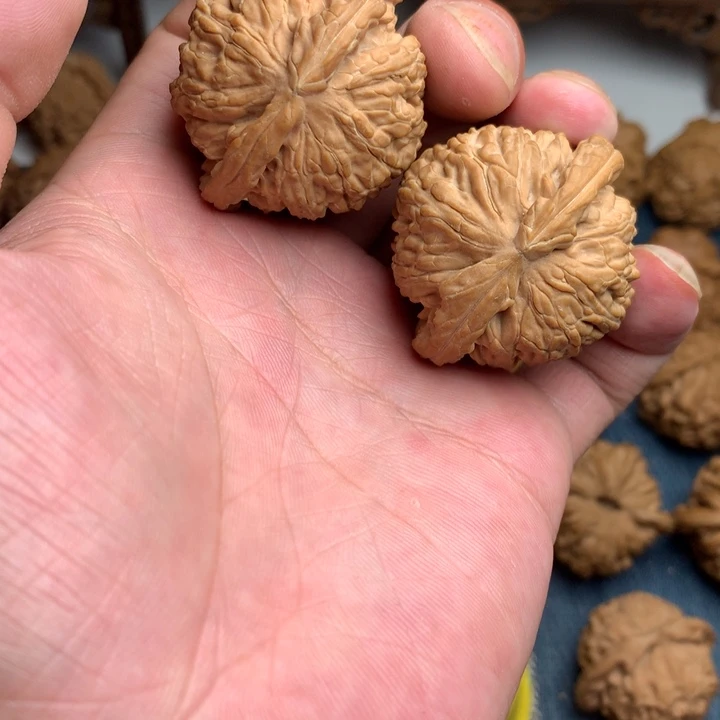 手串/手链核桃40全品白狮子