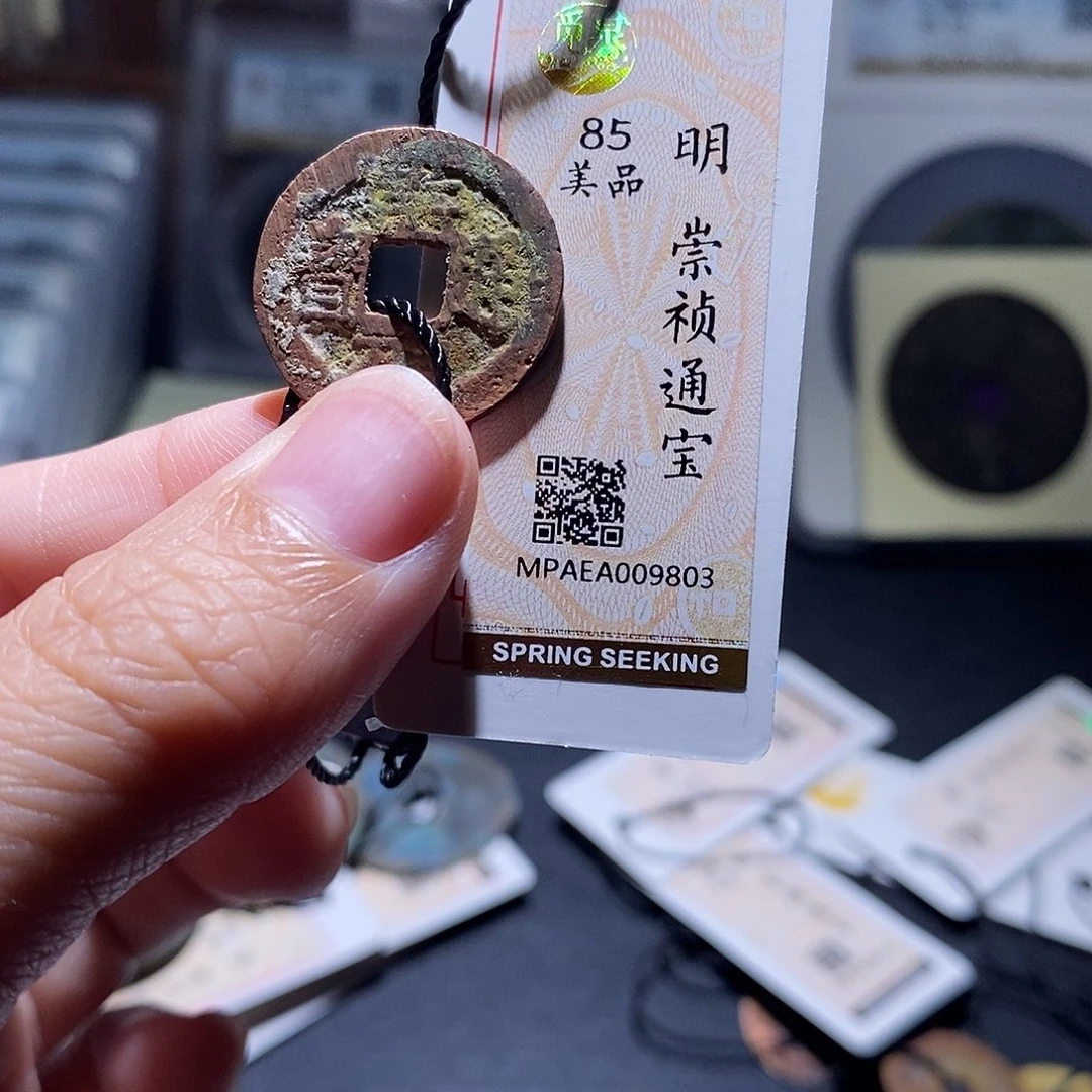 贝壳27 恭喜发财恭喜发财