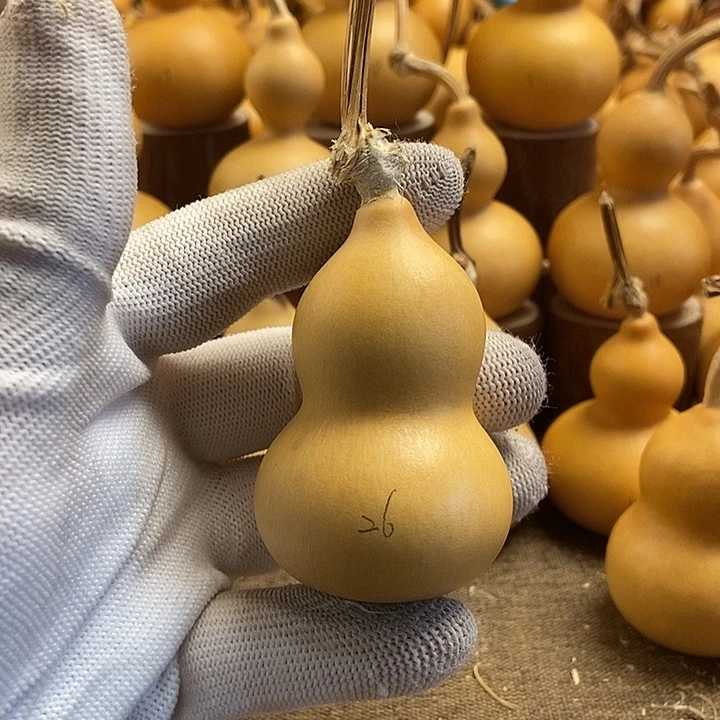 文玩葫芦 完美主义者 慎拍26