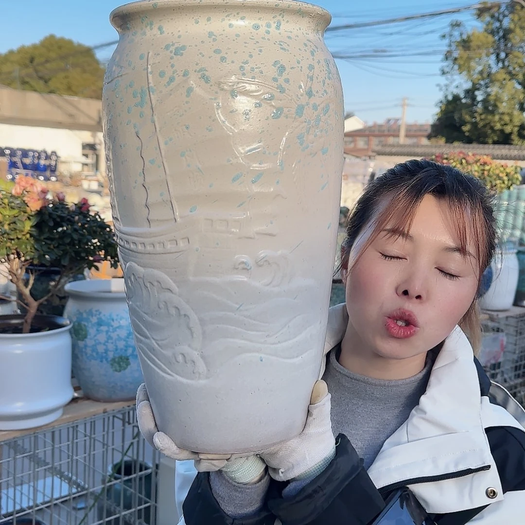 王嫂花盆直播1129-336高40口21