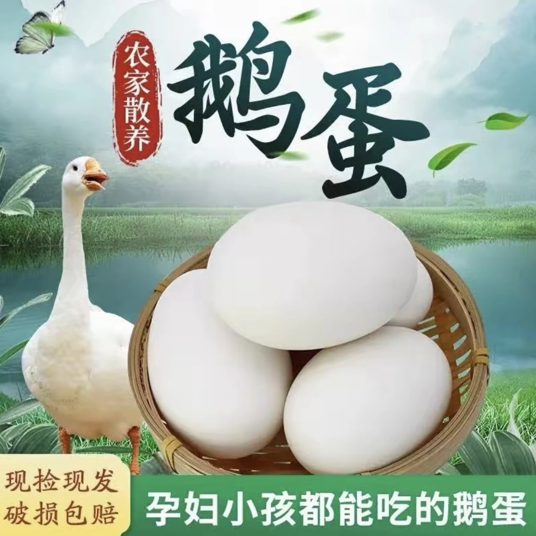 新鲜农家散养土鹅蛋破损包赔现捡现发