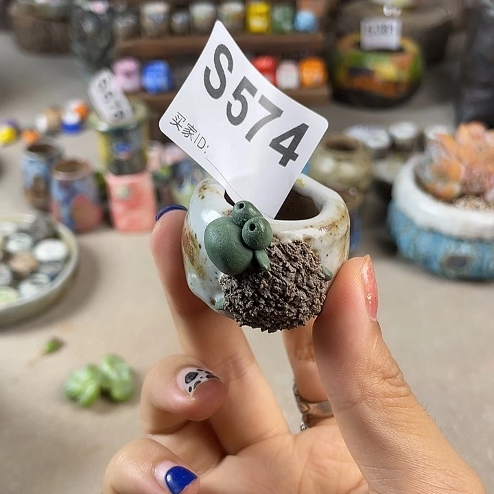 小白孤品 立体小羊盆 内口2.5 不规则 百搭