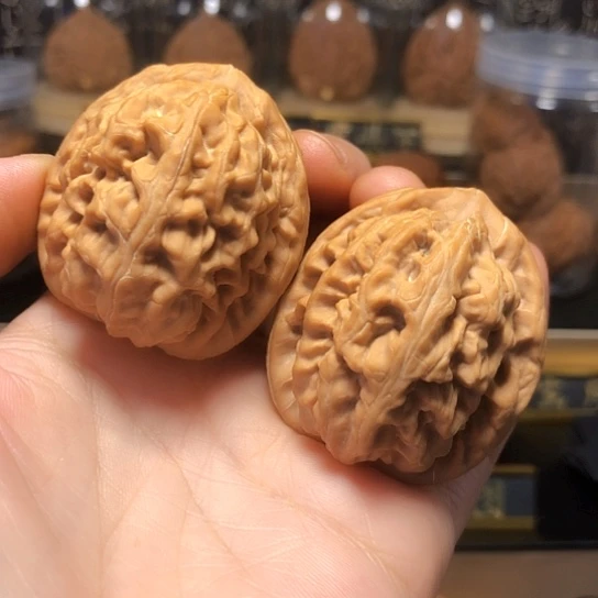 原桩大肚红锦鲤货头