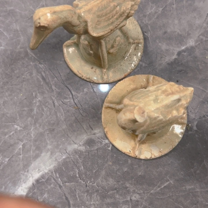 盖碗使*不包邮标本