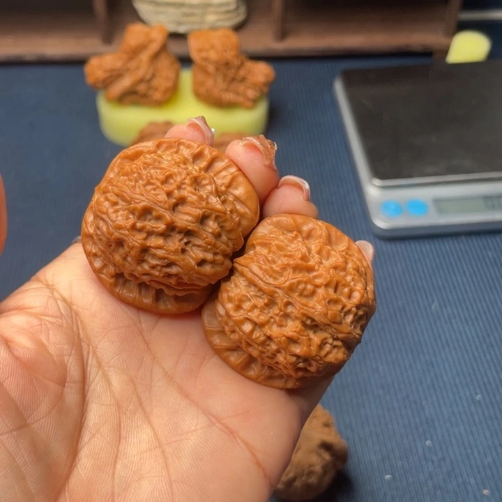 草***圈核桃41血麒麟8888888