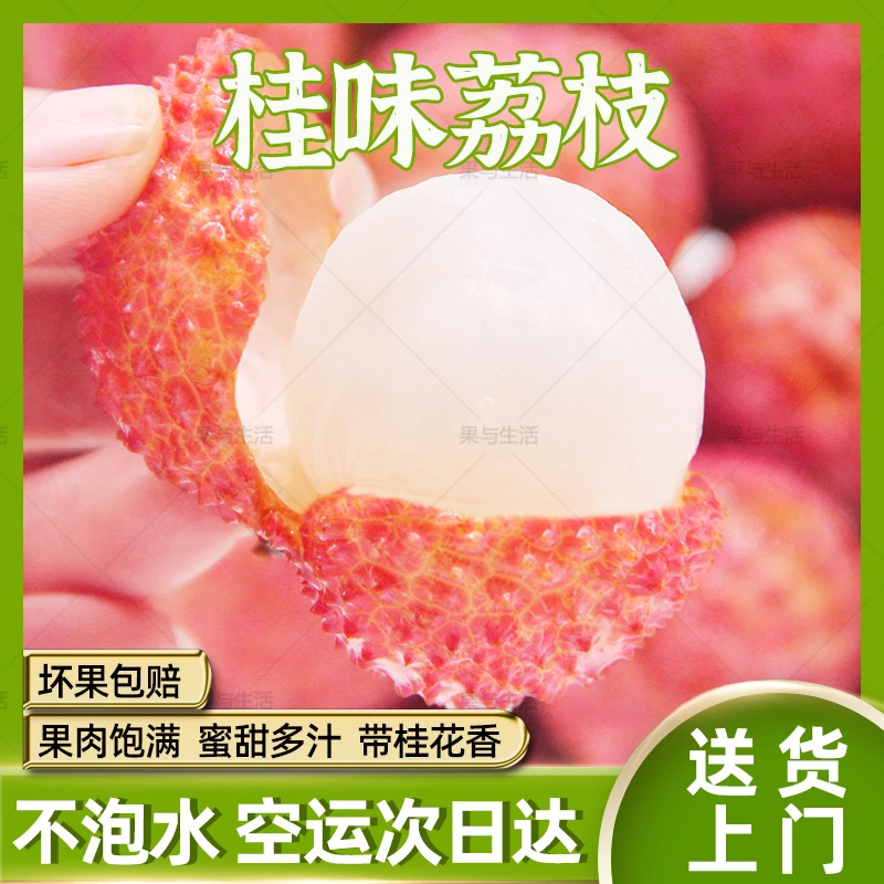 【顺丰次日达】广东增城桂味荔枝现摘鲜果0.8-8斤新鲜不泡水应季水果整箱1/3/5/10斤包邮广东省