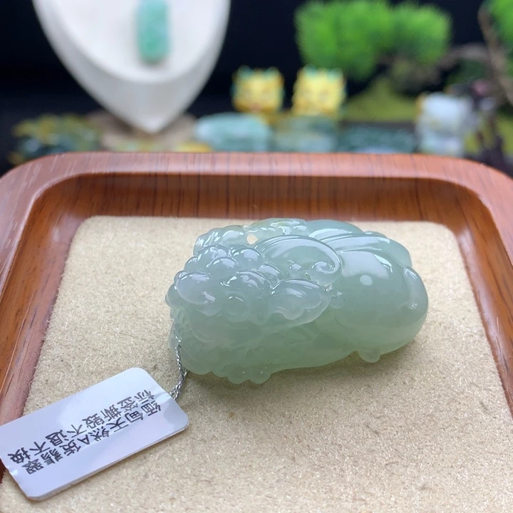 翡翠未镶嵌颈饰貔貅19